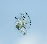 Auto Glass Crack Repair Auto Glass Crack Repair