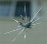 San Diego Windshield Replacement & Repair San Diego Windshield Replacement & Repair