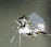 Windshield Crack Repair Windshield Crack Repair